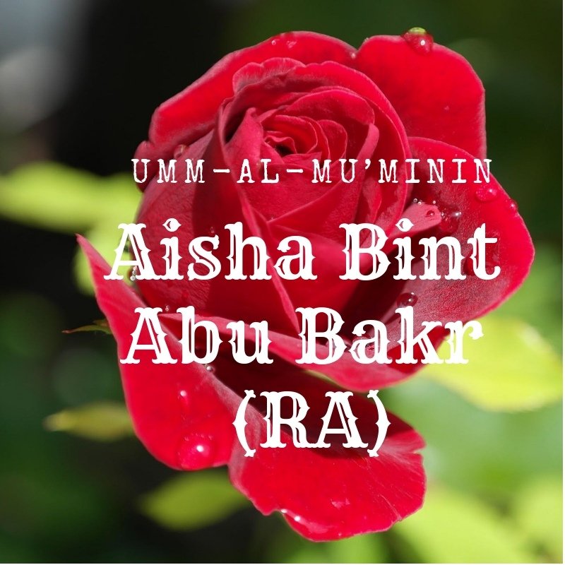 Aisha Bint Abu Bakr (RA)